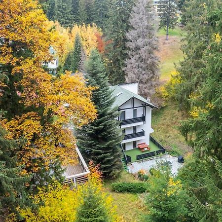 Family Treez Premium Apartments Poiana Brasov Eksteriør bilde
