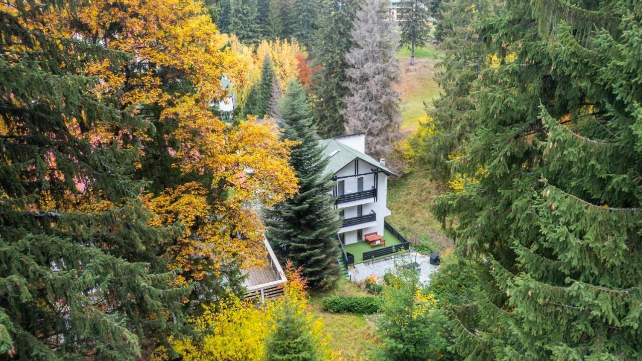 Family Treez Premium Apartments Poiana Brasov Eksteriør bilde